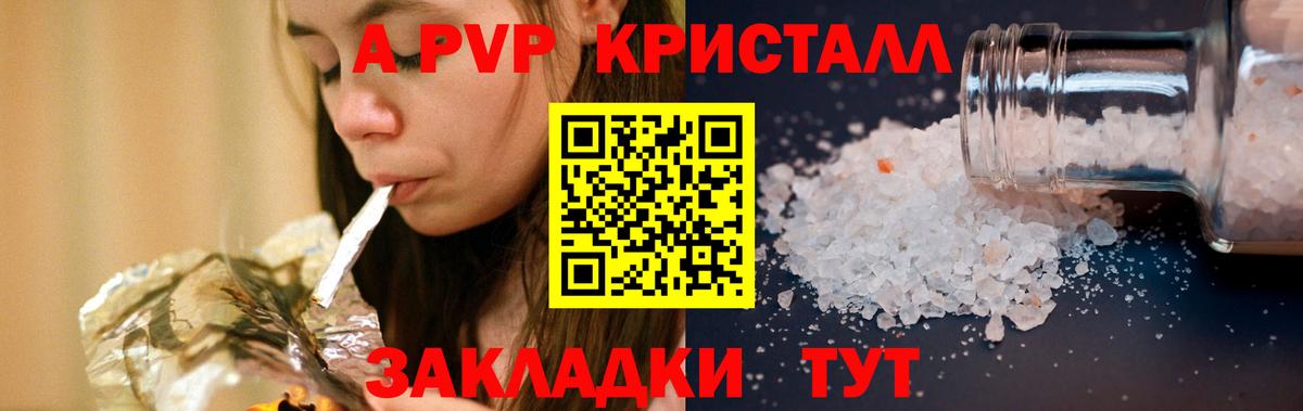 A PVP СК КРИС Гагарин