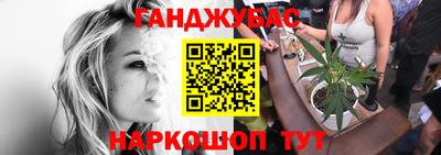 крисы Малгобек
