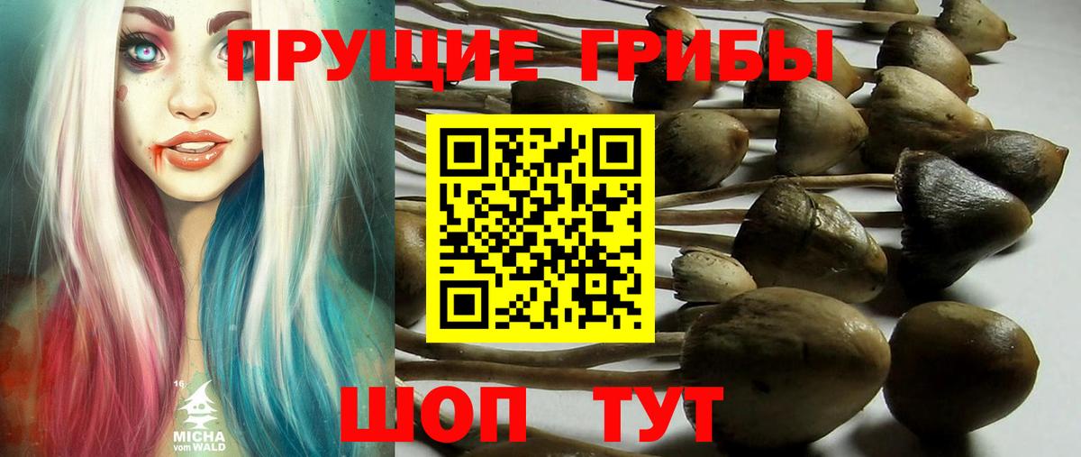 Галлюциногенные грибы MAGIC MUSHROOMS  Галлюциногенные грибы ЛСД  Вход с VPN  Гагарин 
